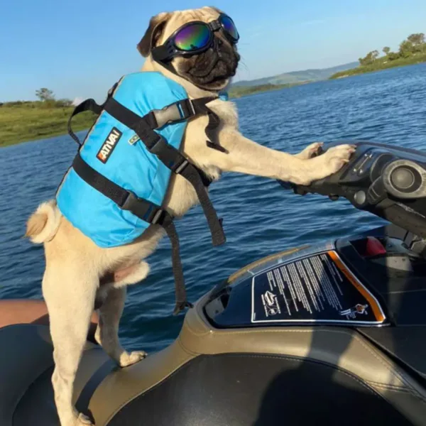 Colete Salva Vidas Amarelo Ativa Pet Para Cachorros M 2