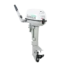 Motor de Popa T9.8BS 2 Tempos Anmax CG Marine