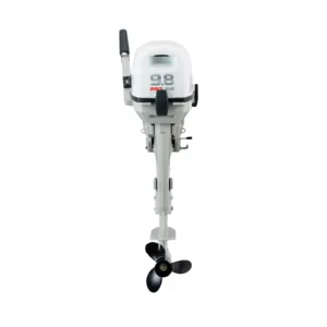 Motor de Popa T9.8BS 2 Tempos Anmax CG Marine new 2